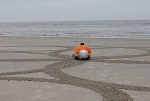 Beachbot upiększy plażę