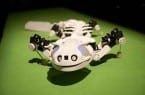 Salamandra jak żywa – nowy robot od EPFL