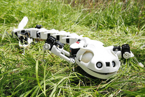 Robotyczna salamandra, czyli Pleurobot