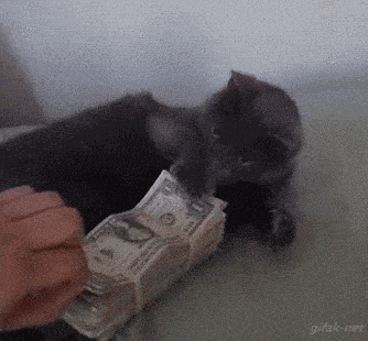 Jak widać lepiej uniezależnić sięfinansowo od swojego kota ;)