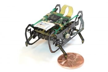 Nowy robot karaluch – trzy razy szybszy od poprzednika!