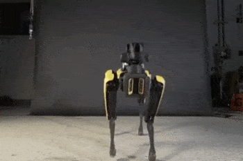 Tańczący Spot hitem internetu – nowości od Boston Dynamics