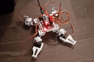 Mały quadroped - czworonożny robot kroczący