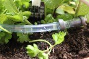 Miniaturowy system nawadniania roślin dzięki Arduino IoT