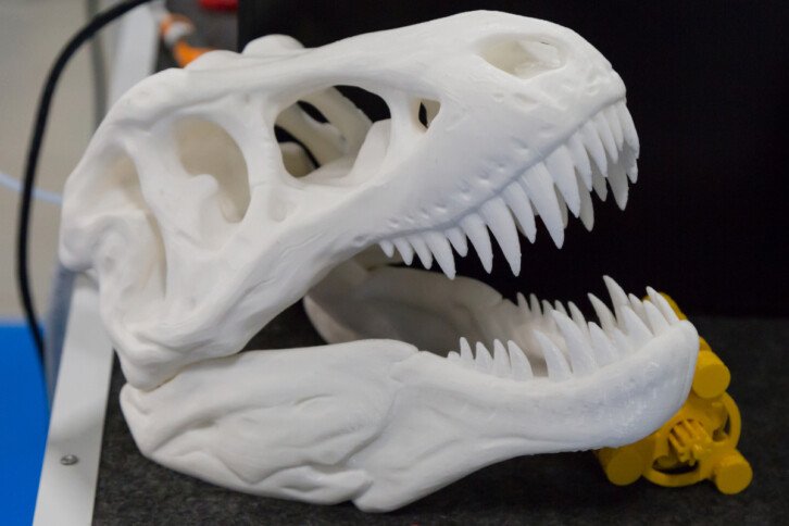 Przykładowa czaszka z drukarki 3D