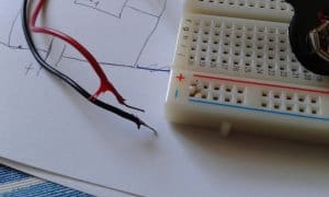 20160825_131817.thumb.jpg.45b1459c299a53425ef38b2a04d04f8b.jpg