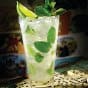 Sir_Mojito