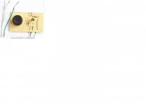 buzzer.thumb.JPG.557d96a92a37f37f708f4a763d86cb77.JPG