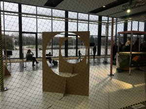 IMG_4895.JPG