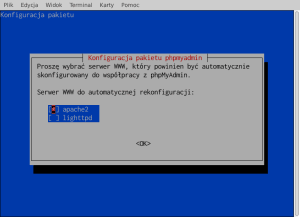 phpmyadmin.thumb.png.566cfc73e491421fba547fb78cf75f66.png
