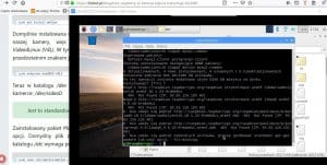 raspberry-motion.jpg