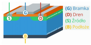image.thumb.png.0259a8c9efedbf462c81e7c625ec6506.png