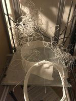 IMG-7449.thumb.jpg.21392921af4eceff23e2fad996bc4655.jpg