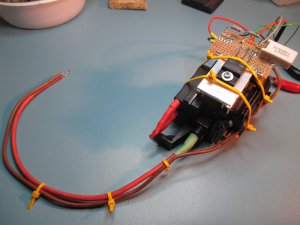IMG_1449.thumb.JPG.cd0c2ac66e8ad9ddb46195d6485aede1.JPG