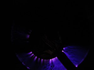 IMG_1480.thumb.JPG.ada290d33a30205cb74f9be4c680d186.JPG