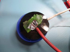 IMG_1482.thumb.JPG.e2fb5bd6c58d1f529fba83c6ccdcd6ee.JPG