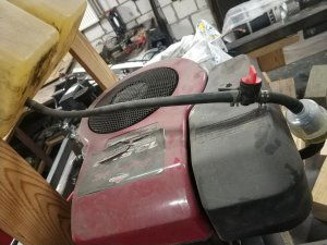 IMG_20200129_111958.jpg