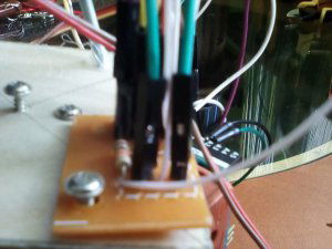 IMG_20200426_103913.thumb.jpg.cf72483d199ff5cb93cdd2772b8b73a9.jpg