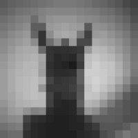 kolor-10529.thumb.jpg.e5e69982a4e9dca6596eb18bee37155e.jpg