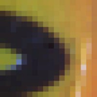 kolor-3870.thumb.jpg.d215e8bf940cdfdd96ff83709770b0d6.jpg