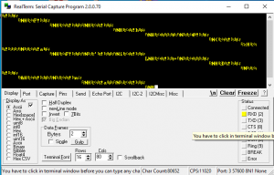 real_term.thumb.png.d3ba5365d16356b7b703c4603254bfe7.png