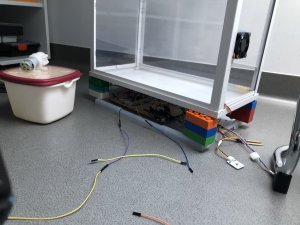 IMG_9694.jpg