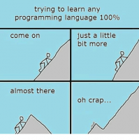 trying-to-learn-any-programming-language-100-just-a-little-7917454.thumb.png.8891c2feaef657ff40e282d2e5258c05.png