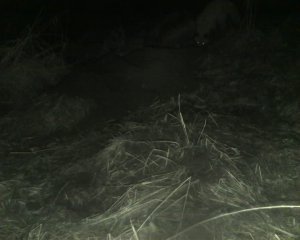 IMG2_28_2_1.thumb.jpg.32a74996cc5a0e7ca78479794db8d2a5.jpg