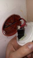 20210405_171337.thumb.jpg.49abdff4b2a1de49299d35e97c5d42f8.jpg
