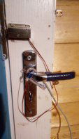 20210405_171404.thumb.jpg.2116a09f3aa2b2062f866c9c62ec7763.jpg