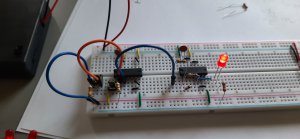 20210711_095701.thumb.jpg.53e3166c66c554b06b4cd91c6b446199.jpg