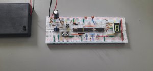 20210715_140310.thumb.jpg.036cb9979fee9ff2afb661dc164b70fd.jpg