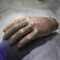 36747765_mkjbhand2.thumb.jpg.28d947f5a953c0d9ac50f018d302b74c.jpg