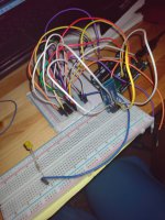 IMG_20210804_184938427.thumb.jpg.c3c234f4a76a3719d584f3e5ba2d109b.jpg
