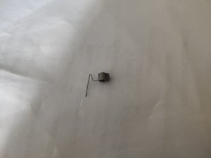 IMG_20211108_091826.jpg