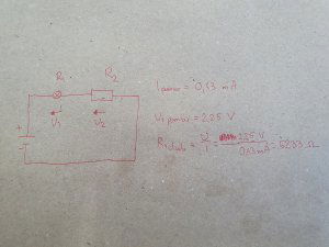 20220310_125603.jpg