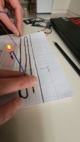 20220424_135531.jpg