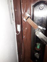 20220221_004131.thumb.jpg.e90208ec179f35b428b6bd37aed80f16.jpg