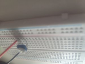 20220718_130420.jpg