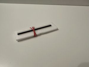 IMG_0138.jpg