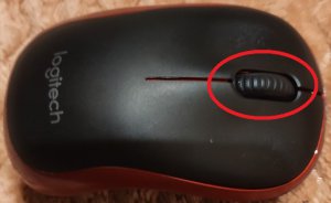 1757562441_myszkolko.thumb.jpg.935d90e5efa3bae885947a0f94c3792f.jpg