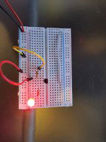 20230110_094228.jpg