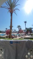 IMG_20230628_090511.jpg