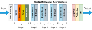 ResNet50.thumb.png.45132fee51b8444f8f49f1f107d04565.png