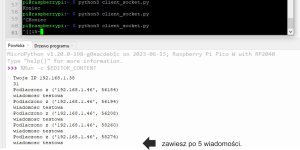 pico-socket.jpg
