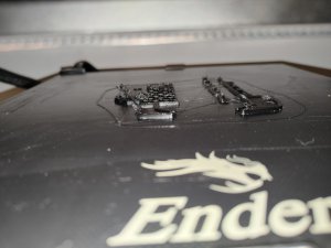 IMG_20230827_184813277.jpg