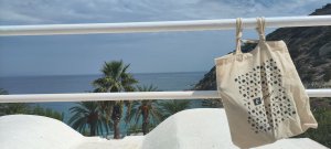 IMG_20230907_115200.jpg