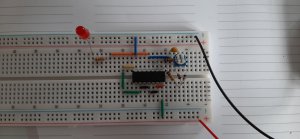 20231010_155019.jpg