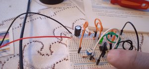 1700995186913.thumb.jpg.f2d7a565ea523c5401735c3dc8348ff9.jpg