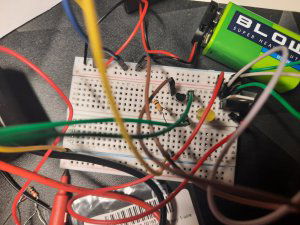 20231216_205925.jpg